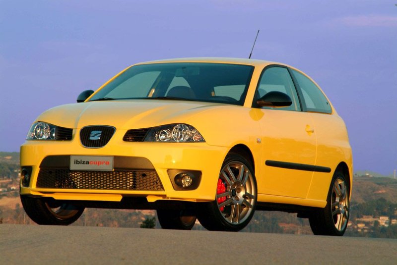 Zdjęcia auta Seat Ibiza III (6L) Cupra 1.9 TDI